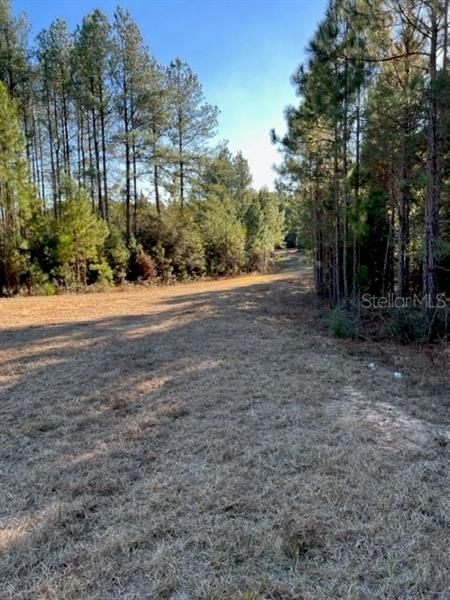 Recently Sold: $30,000 (10.16 acres)