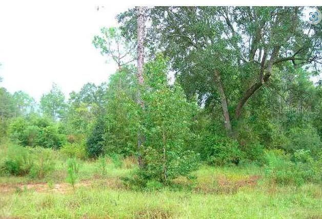 Recently Sold: $30,000 (10.16 acres)