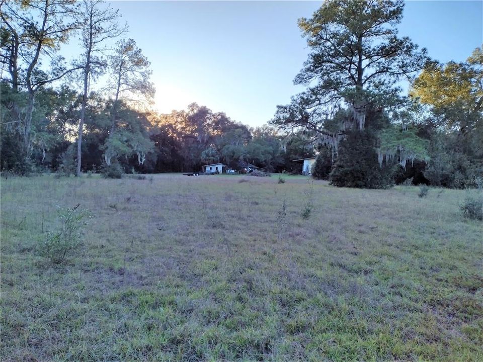 Looking W from center E side of property