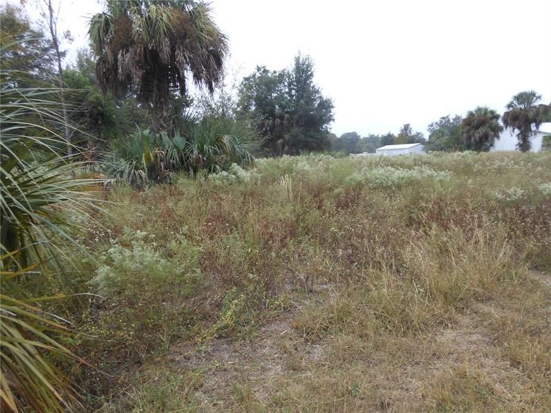 Recently Sold: $59,000 (3.61 acres)