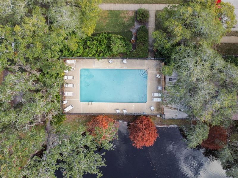 Aerial shot of community pool