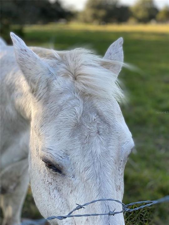 For Sale: $3,000,000 (2 beds, 2 baths, 2280 Square Feet)