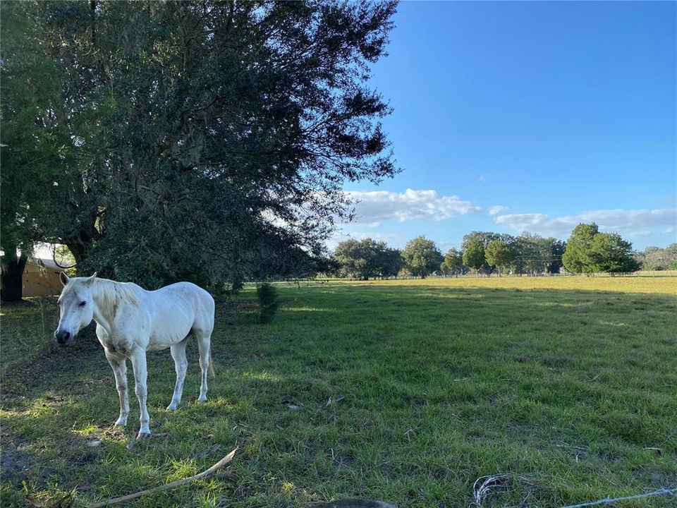 For Sale: $3,000,000 (2 beds, 2 baths, 2280 Square Feet)
