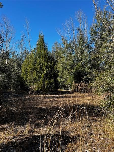 Recently Sold: $20,000 (1.25 acres)