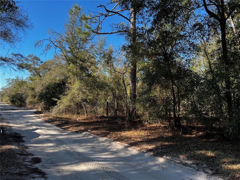 Recently Sold: $20,000 (1.25 acres)