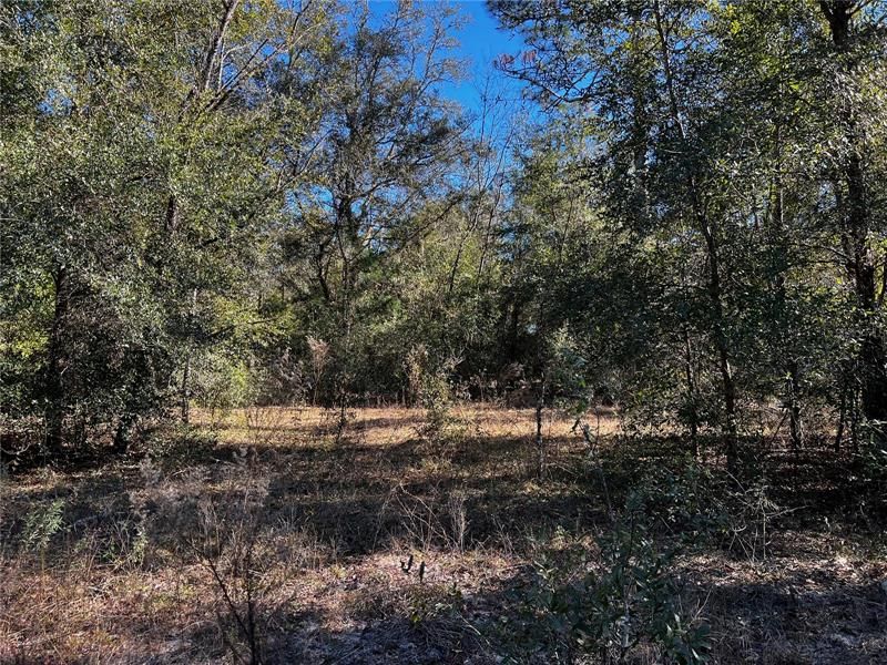 Recently Sold: $20,000 (1.25 acres)