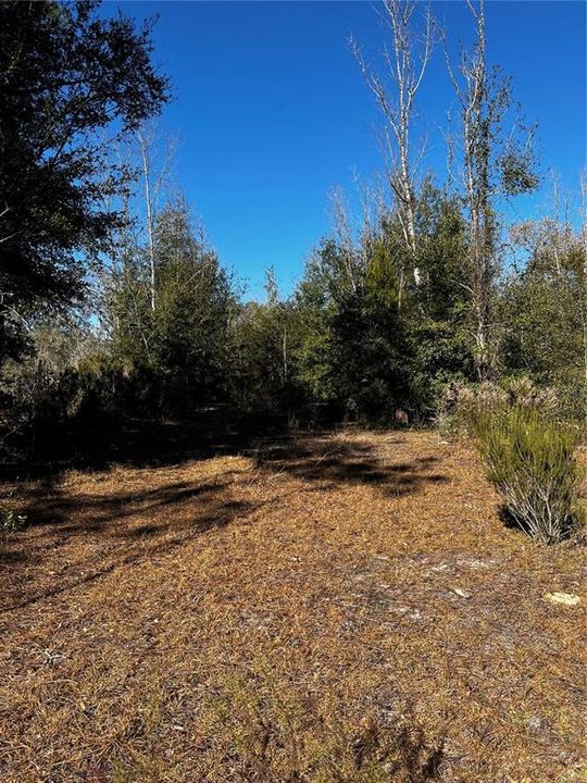 Recently Sold: $20,000 (1.25 acres)