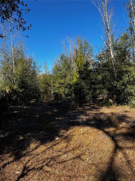 Recently Sold: $20,000 (1.25 acres)