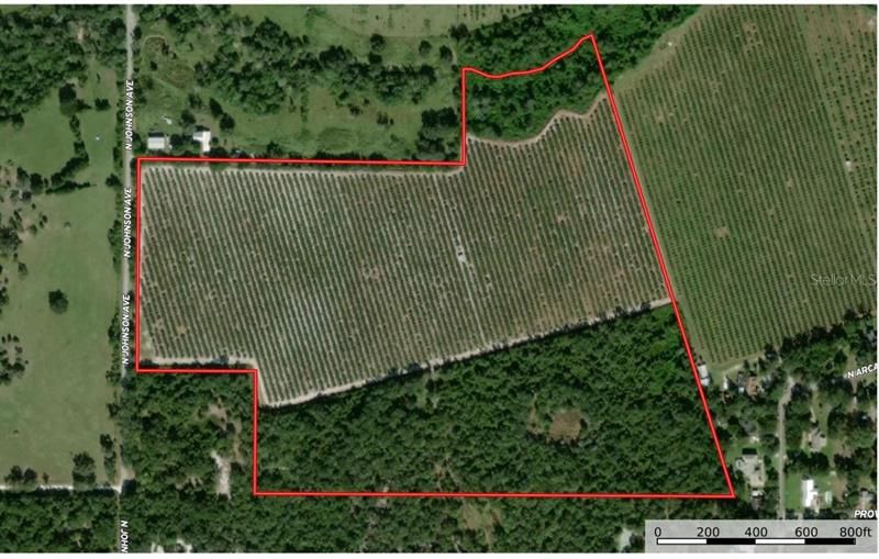 For Sale: $1,225,000 (70.00 acres)