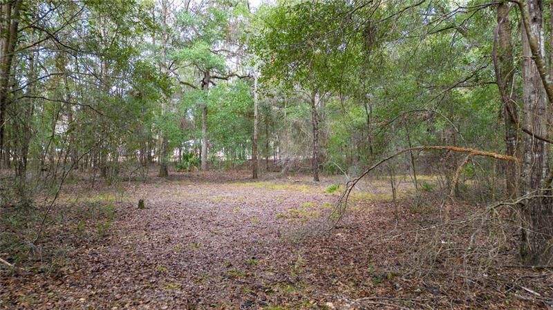 Recently Sold: $49,900 (1.02 acres)