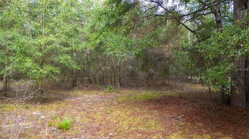 Recently Sold: $49,900 (1.02 acres)