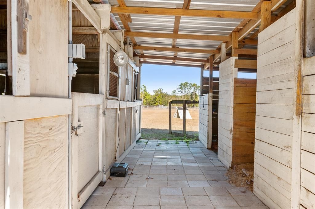 horse stalls