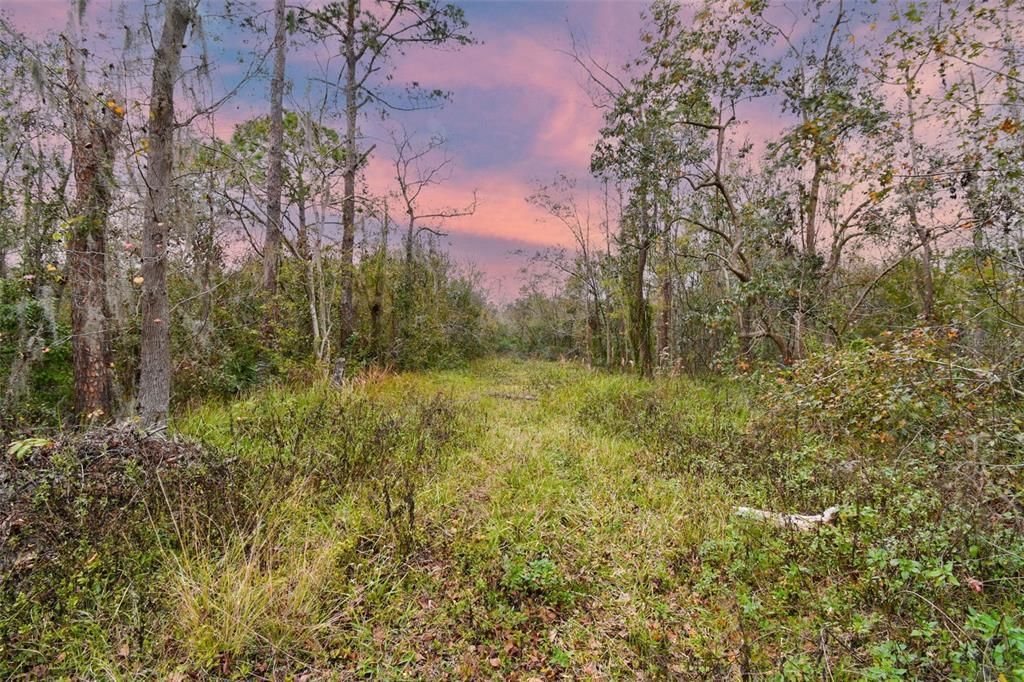 Active With Contract: $110,000 (0.94 acres)