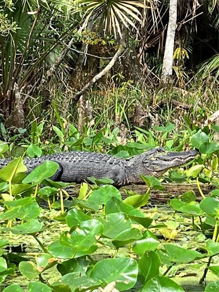 One of the residents at Silver Springs