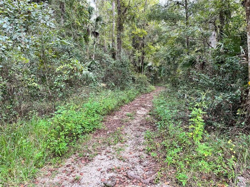 On the trails at Wilderness RV Resort