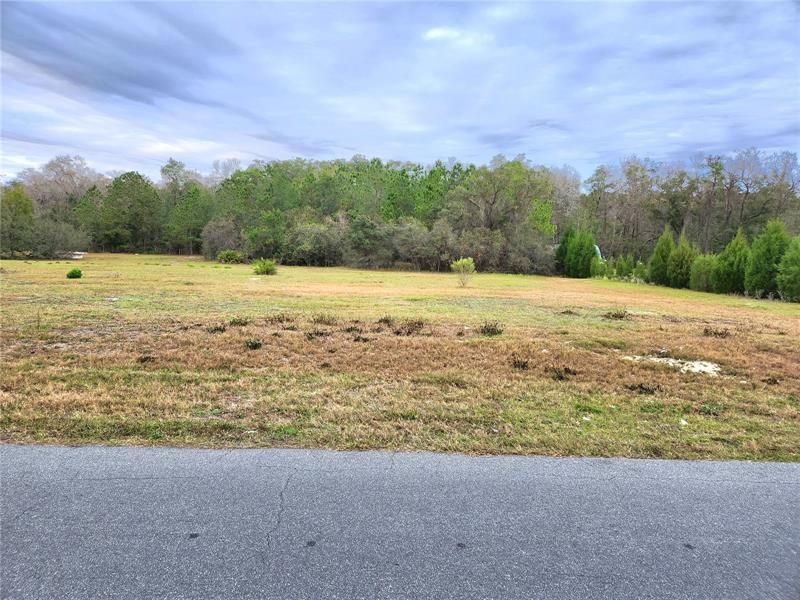 Recently Sold: $105,000 (1.34 acres)