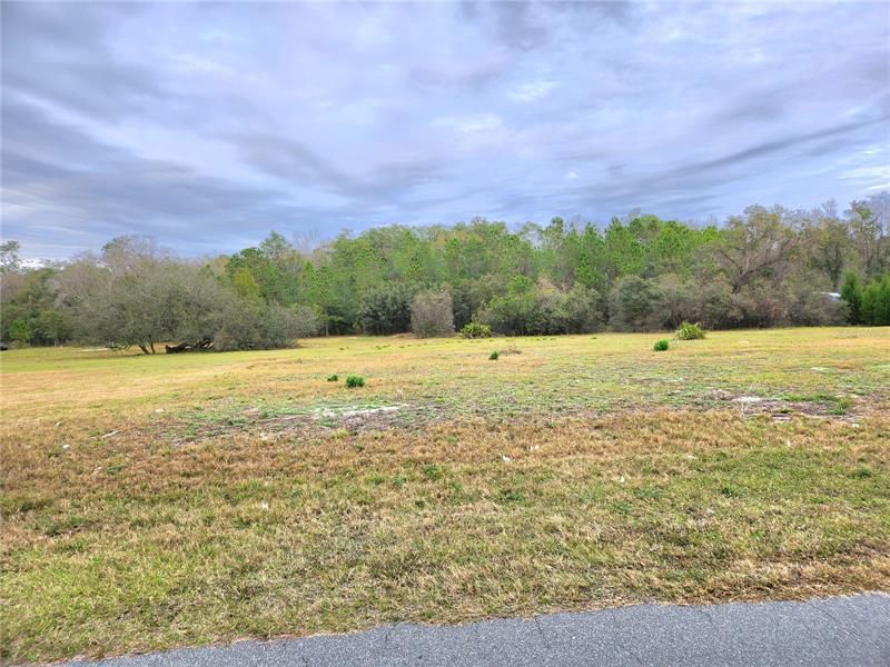 Recently Sold: $105,000 (1.34 acres)