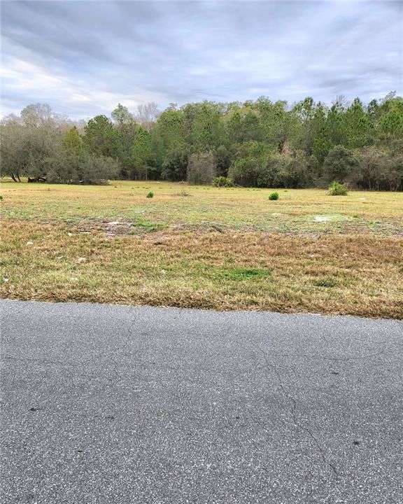 Recently Sold: $105,000 (1.34 acres)