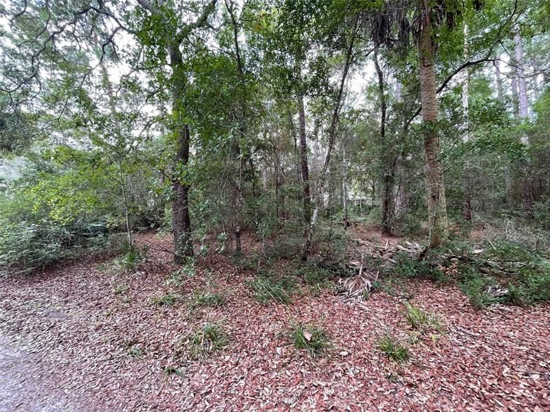 Recently Sold: $6,990 (0.29 acres)