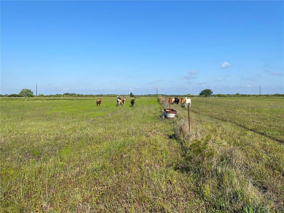 Vendido Recientemente: $300,000 (20.00 acres)