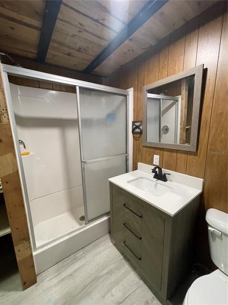 Downstairs Shower and Vanity