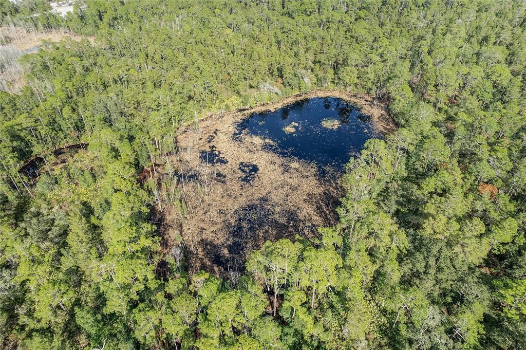 Недавно продано: $350,000 (40.00 acres)