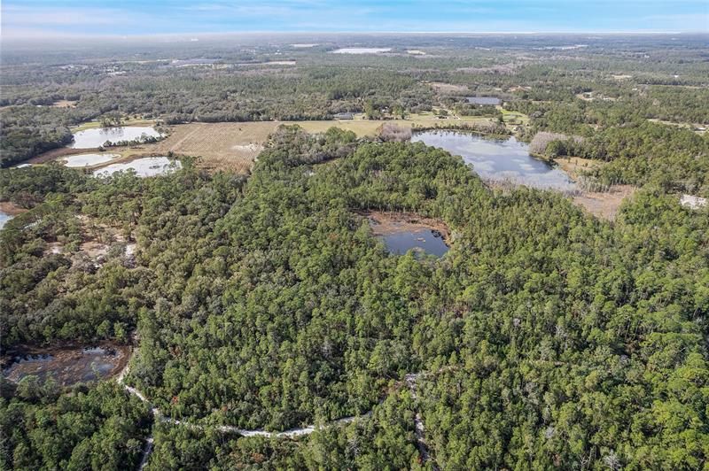 Недавно продано: $350,000 (40.00 acres)