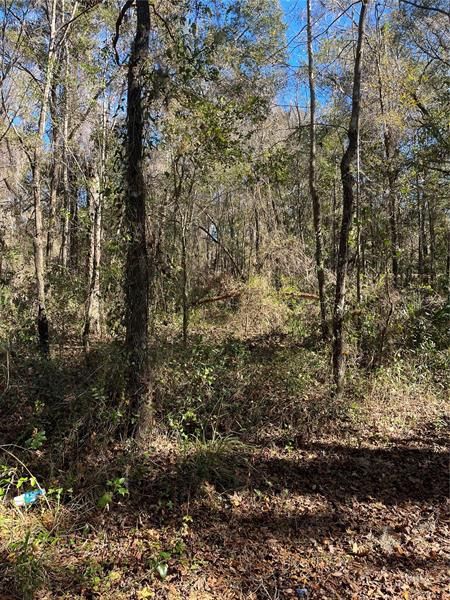 Recently Sold: $99,900 (3.00 acres)