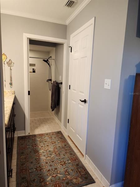 WC/Shower through pocket door and walk-in closet through door to the right