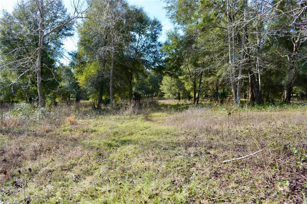 Recently Sold: $2,250,000 (107.00 acres)