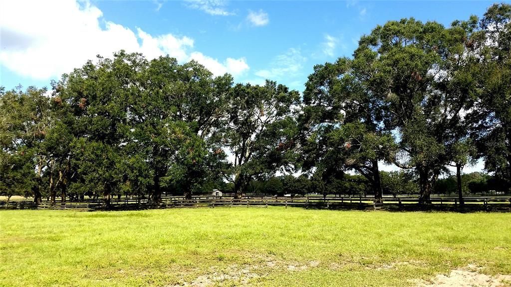 For Sale: $14,875,000 (119.00 acres)