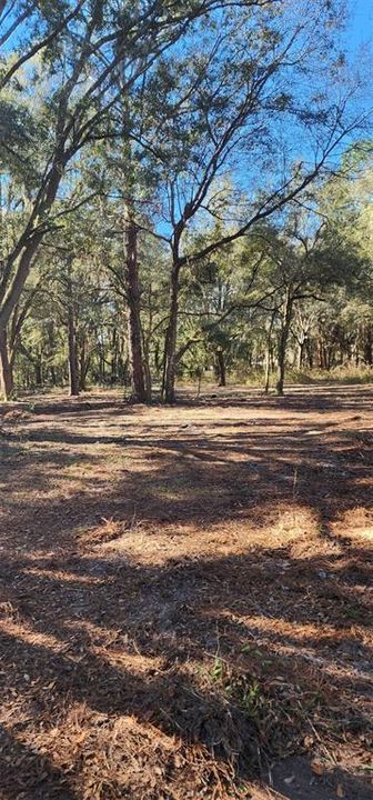 Recently Sold: $44,900 (4.80 acres)