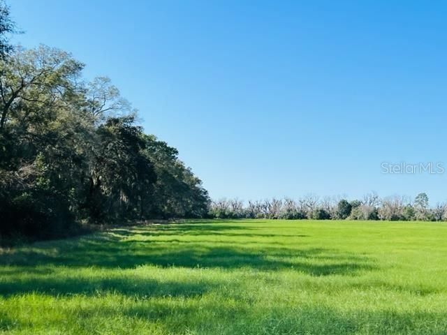 Recently Sold: $189,900 (20.00 acres)