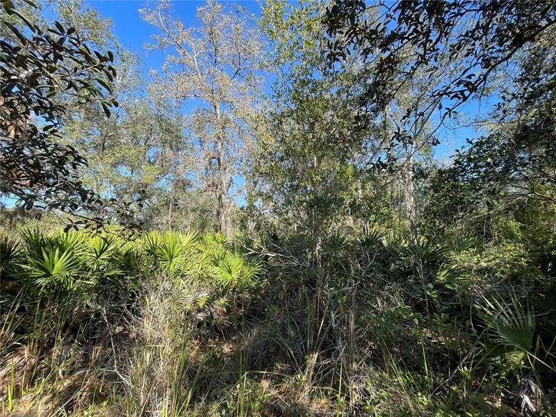 Recently Sold: $25,000 (1.50 acres)