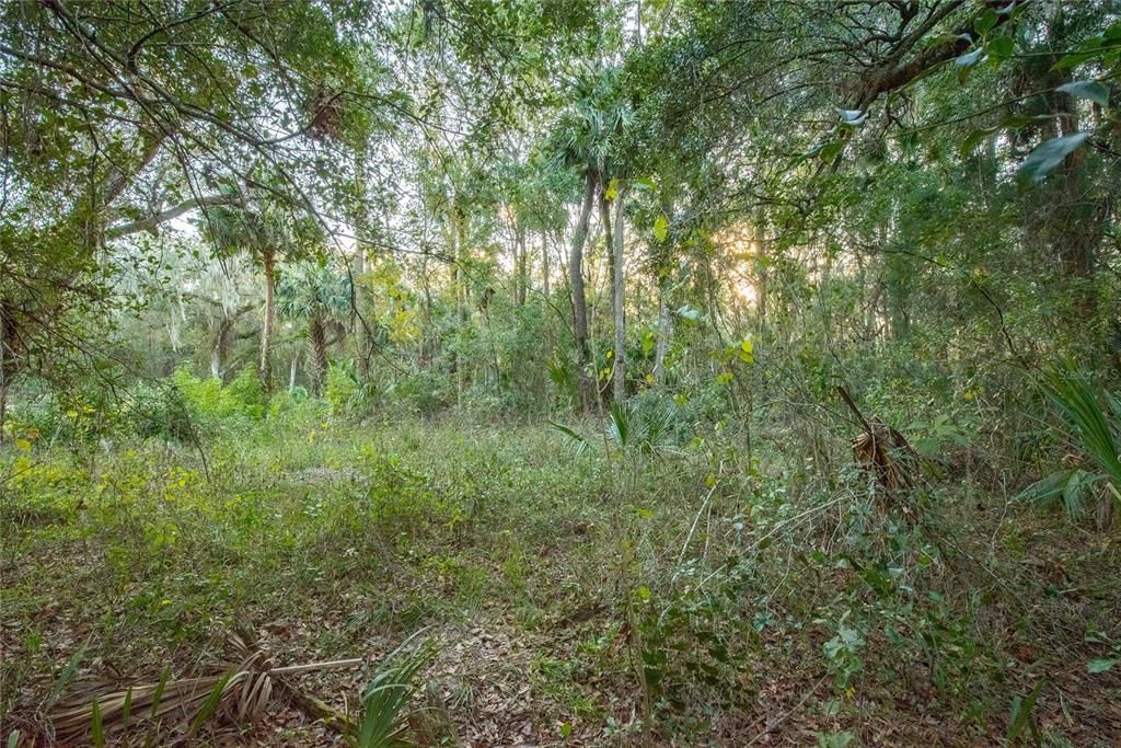 Vendido Recientemente: $69,000 (0.28 acres)