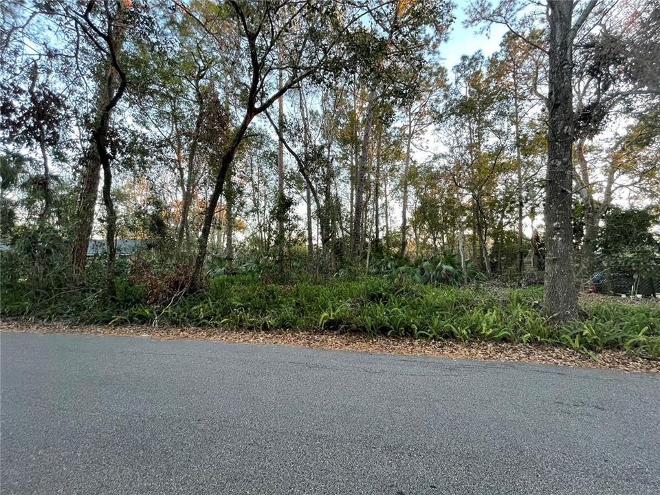 最近售出: $95,000 (0.26 acres)