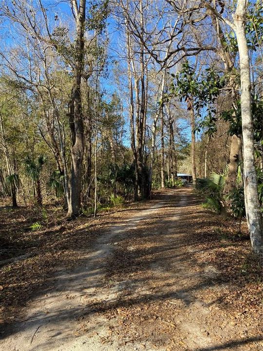 North view of property entrance road. Neighbors occupied at the end of the dirt road.