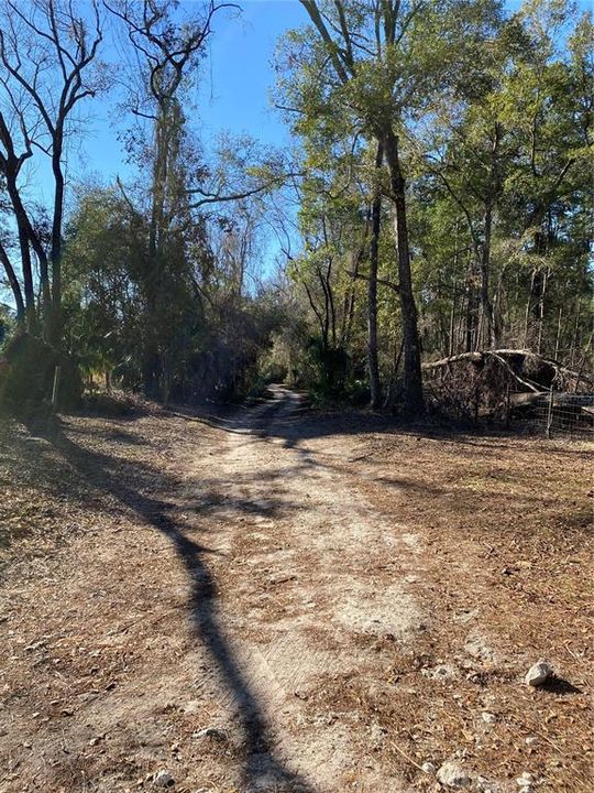 View of road driving to the Property.