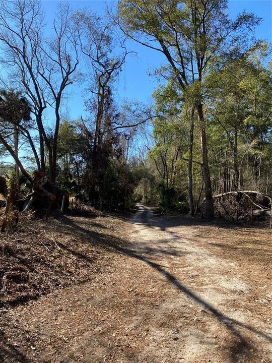 View of road driving to the Property.