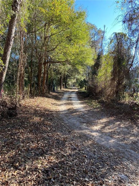 Road to the property. (view as your leaving the property and heading South towards NW HWY 320 road.