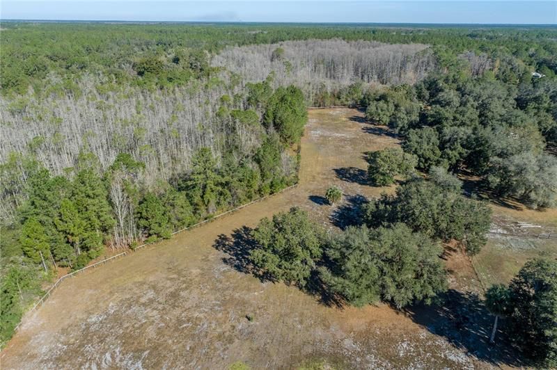 Fenced Pastures & back woods property