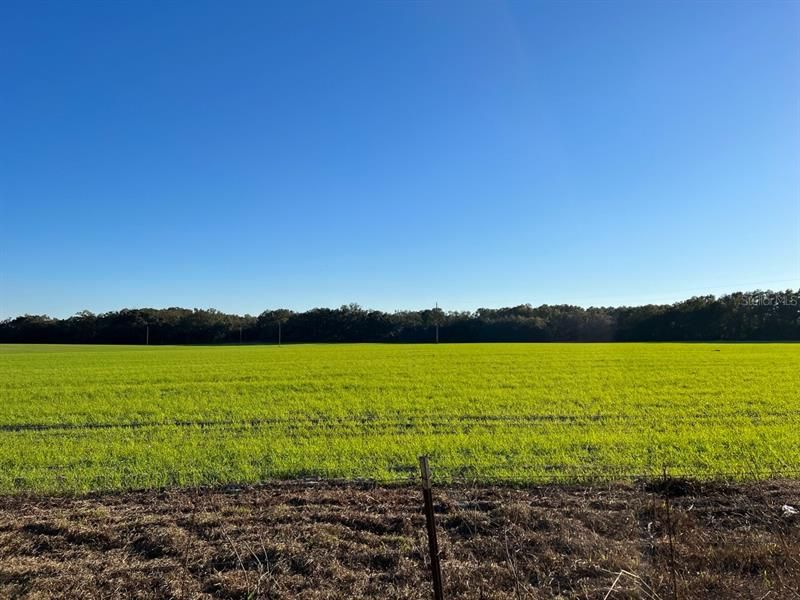 For Sale: $946,000 (43.00 acres)