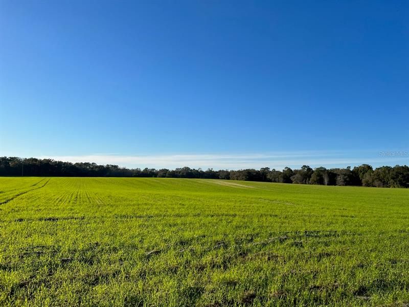 For Sale: $946,000 (43.00 acres)