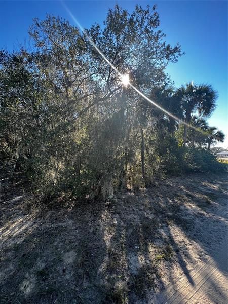 Recently Sold: $40,000 (1.15 acres)