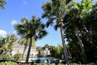 VIEW OF THE COMMUNITY POOL AREA