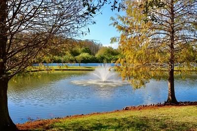 POND VIEW