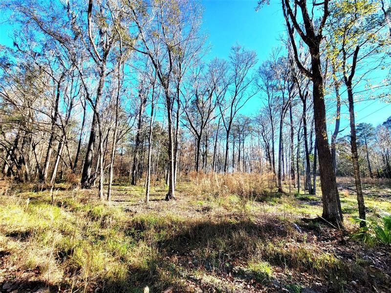 Recently Sold: $79,000 (4.62 acres)