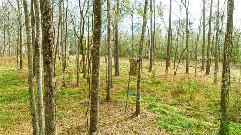 Недавно продано: $79,000 (4.62 acres)