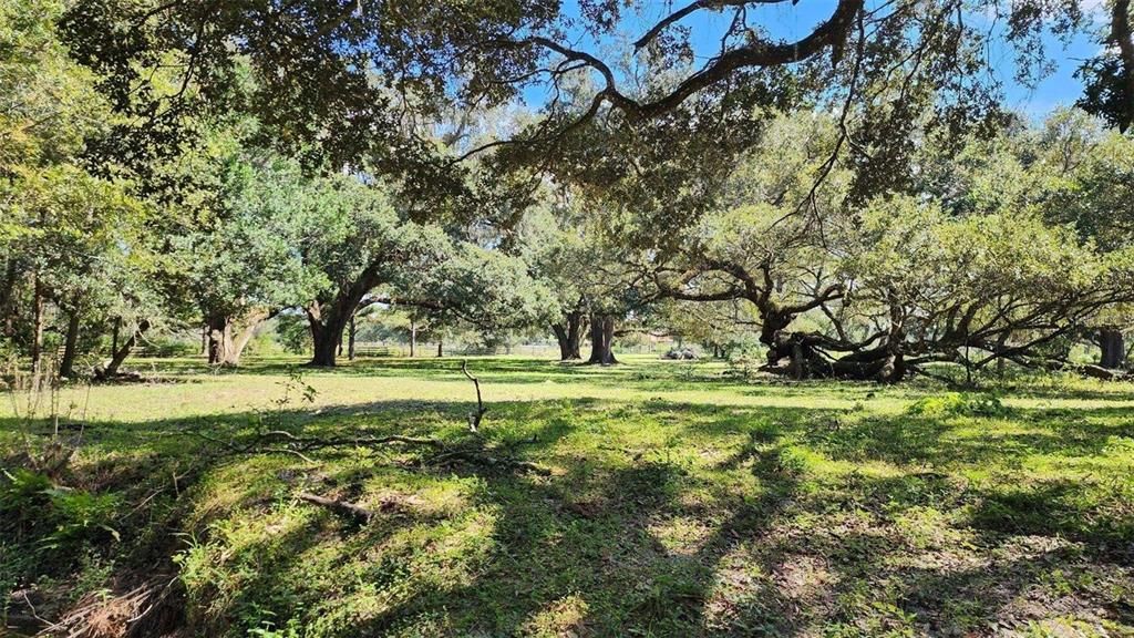 Recently Sold: $350,000 (10.00 acres)