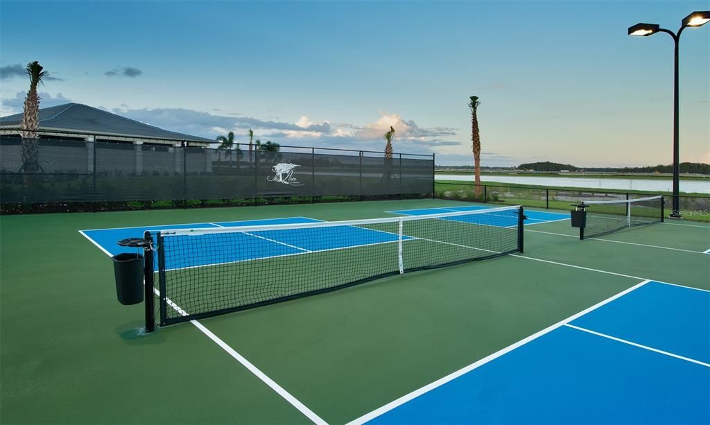 8 Pickleball courts and very active players